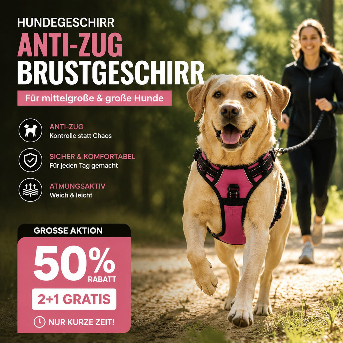 🐕 50% OFF! 🦺 Anti-pull harness – Reflective, breathable & with two leash attachments 🌿