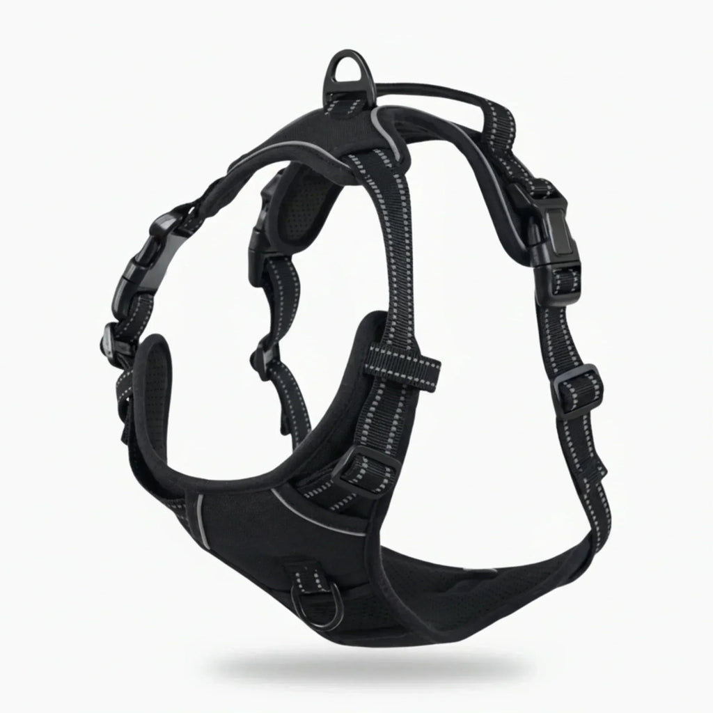 🐕 50% OFF! 🦺 Anti-pull harness – Reflective, breathable & with two leash attachments 🌿